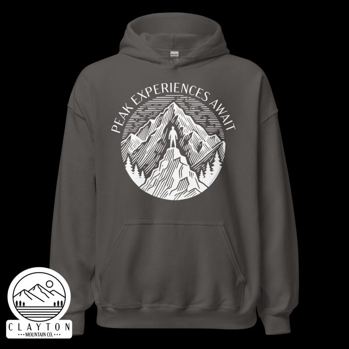 Adventure in Comfort: Peak Experiences Await Hoodie - Clayton, GA -Unisex-Heavy-Blend-Hoodie-Charcoal