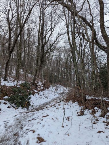 Raco Locos Take on Rabun Bald: A Snowy, Icy Trek to the Top