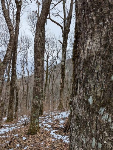 Raco Locos Take on Rabun Bald: A Snowy, Icy Trek to the Top
