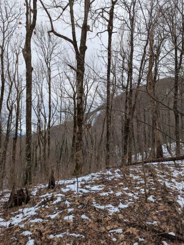 Raco Locos Take on Rabun Bald: A Snowy, Icy Trek to the Top