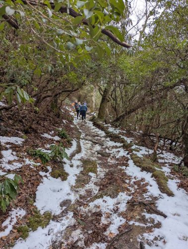Raco Locos Take on Rabun Bald: A Snowy, Icy Trek to the Top
