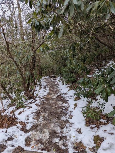 Raco Locos Take on Rabun Bald: A Snowy, Icy Trek to the Top