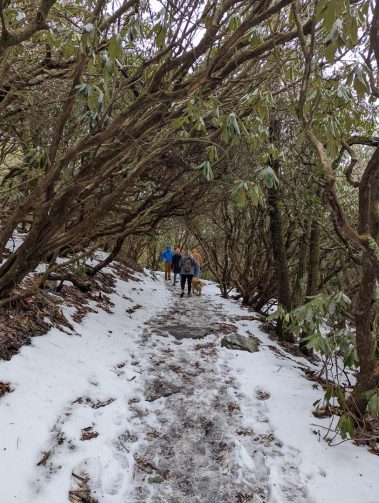 Raco Locos Take on Rabun Bald: A Snowy, Icy Trek to the Top