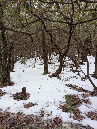 Raco Locos Take on Rabun Bald: A Snowy, Icy Trek to the Top