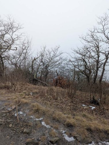 Raco Locos Take on Rabun Bald: A Snowy, Icy Trek to the Top