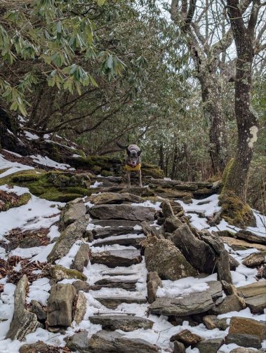 Raco Locos Take on Rabun Bald: A Snowy, Icy Trek to the Top