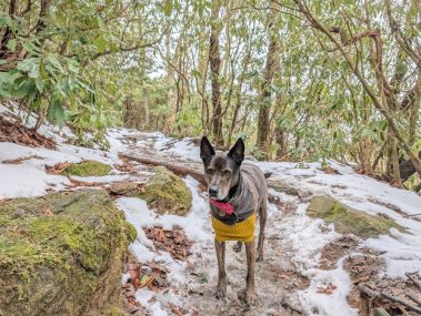 Raco Locos Take on Rabun Bald: A Snowy, Icy Trek to the Top