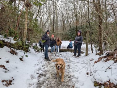 Raco Locos Take on Rabun Bald: A Snowy, Icy Trek to the Top