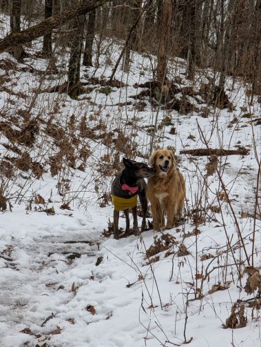 Raco Locos Take on Rabun Bald: A Snowy, Icy Trek to the Top