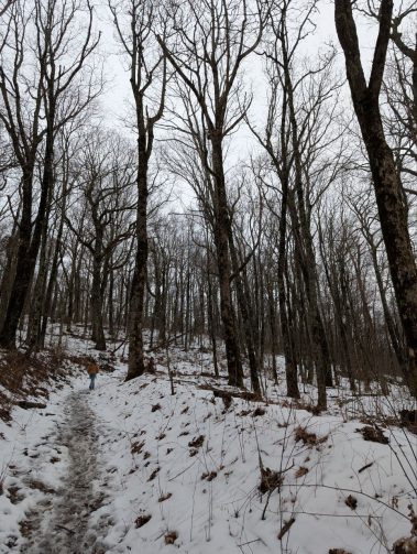 Raco Locos Take on Rabun Bald: A Snowy, Icy Trek to the Top